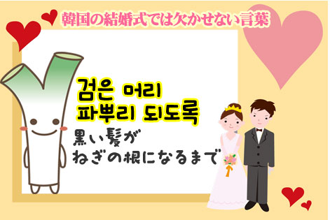 韓国結婚式